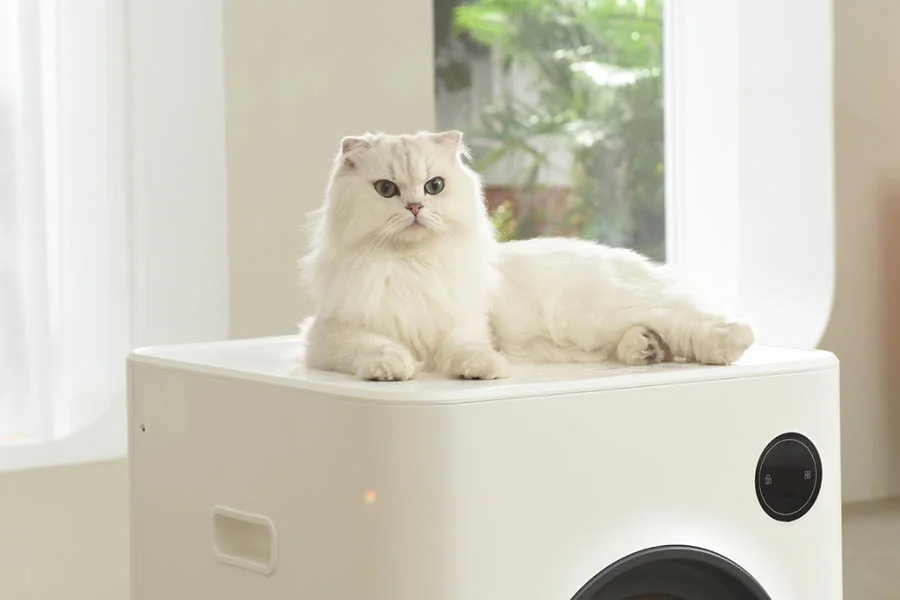 mess free litter box